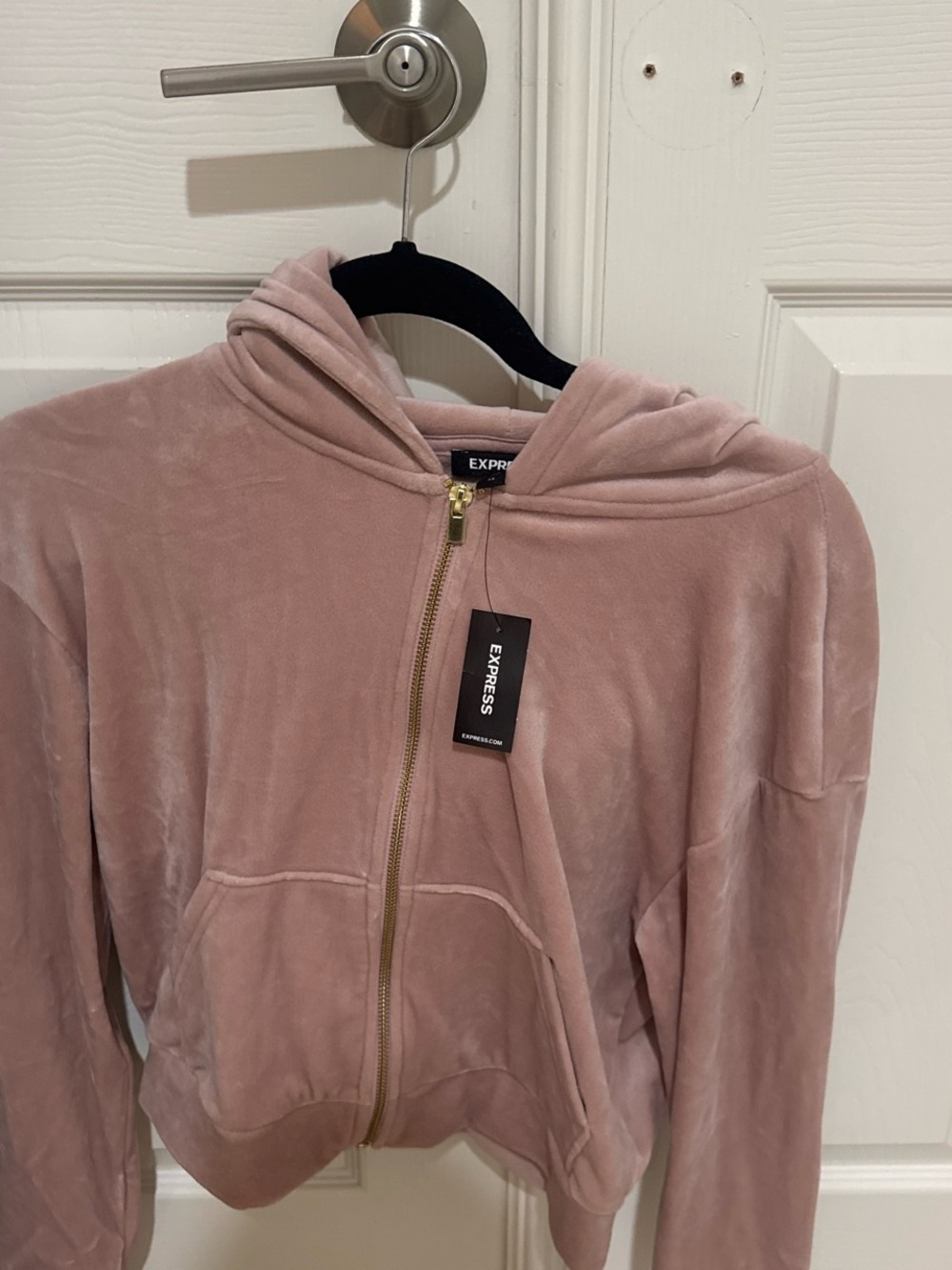 Express Dusty Rose Teddy Zip Hoodie